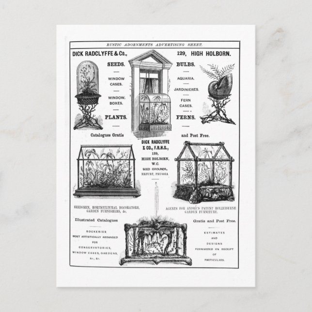 Cartão Postal Anúncio para 'Dick Radclyffe & Co.' Anúncio Russo (Frente)