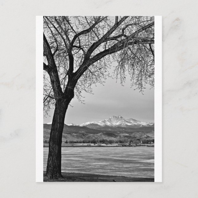 Cartão Postal Ao longo do lago em preto e branco (Frente)