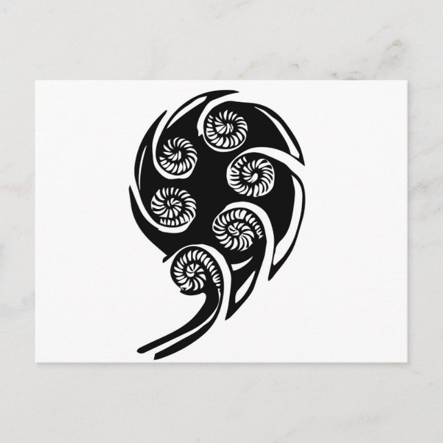 Cartão Postal aotearoa koru design (Frente)