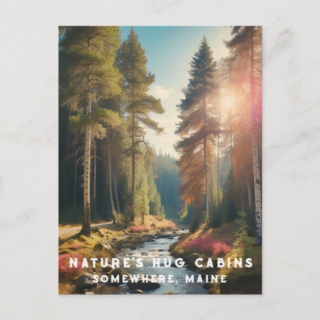 Cartão Postal *~* AP49 Natureza de Férias do Fluxo Maine Forest  (Frente)