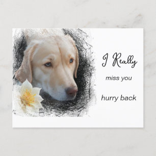 Cartão Postal *~ AP61 Cachorro de Cabelo Curto Triste Flor Te Am
