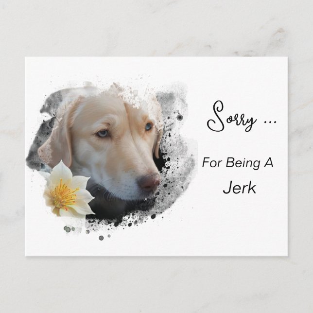 Cartão Postal *~* AP61 Triste Retriever Labrador Flor Desculpe-s (Frente)