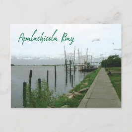 Cartão Postal Apalachicola Bay Florida com ostras