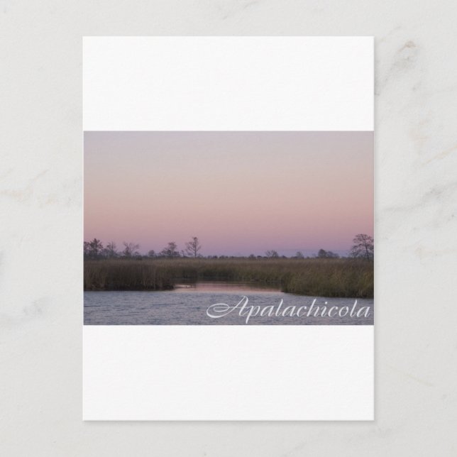 Cartão Postal Apalachicola sunset (Frente)