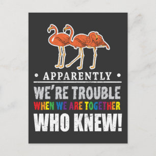 Cartão Postal Aparentemente Somos um Zoológico de Flamingos Prob