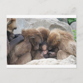 Cartão Postal Ape