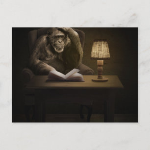 Cartão Postal Ape Chimpanzee Monkey