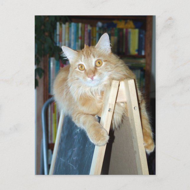 Cartão Postal Apelsin, o artista (Frente)