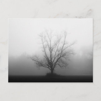 Cartão Postal Apenas