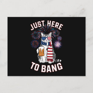 Cartão Postal Apenas Aqui Para Beber Cerveja com Bandeira dos EU