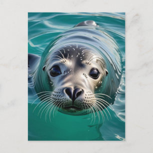 Cartão Postal Apenas checando você Manter em contato