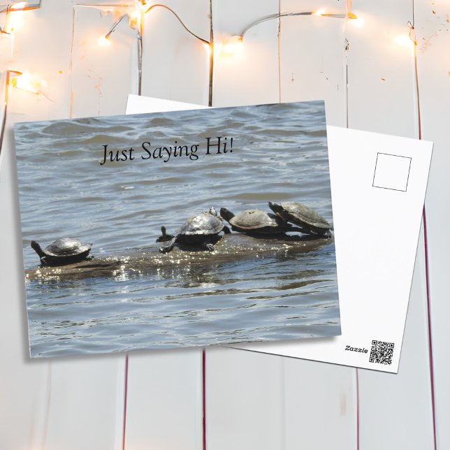 Cartão Postal Apenas Dizendo "Oi", Tartarugas Bonitas Banho de S (Criador carregado)