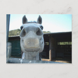 Cartão Postal Apenas Para Hoje