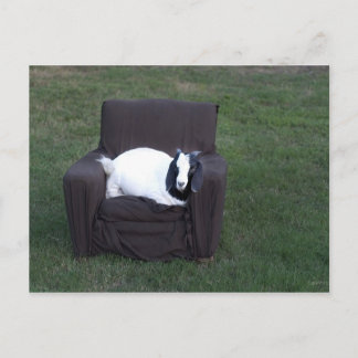 Cartão Postal Apenas relaxe