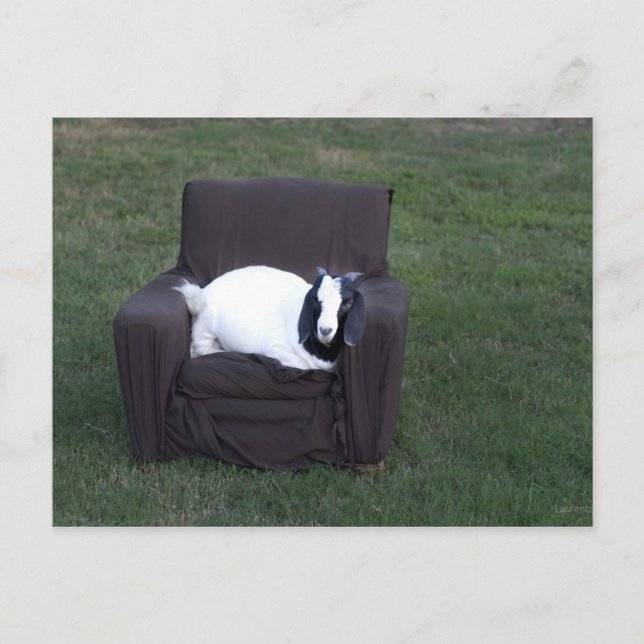 Cartão Postal Apenas relaxe (Frente)