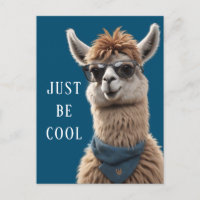 Apenas Seja Legal Sorriso Llama Óculos de Sol Alpa