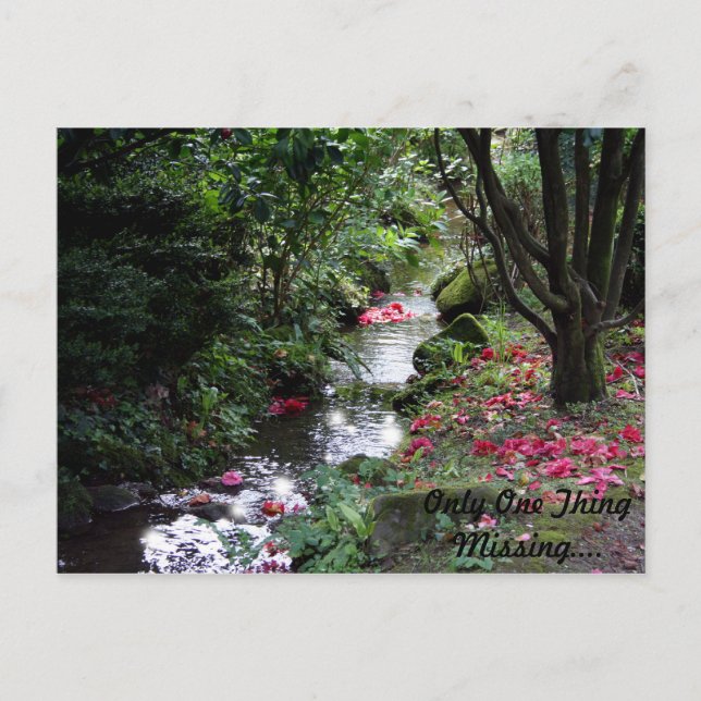 Cartão Postal Apenas Um Cartão-Postal Ausente (Frente)