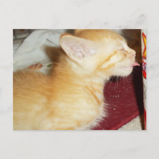 CARTÃO POSTAL APENAS UM CLIQUE