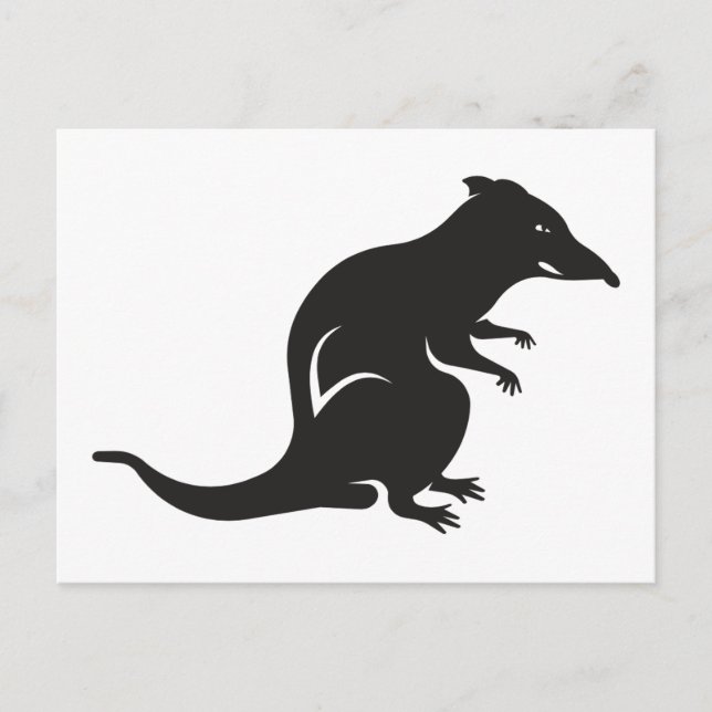 Cartão Postal Apenas um rato (Frente)