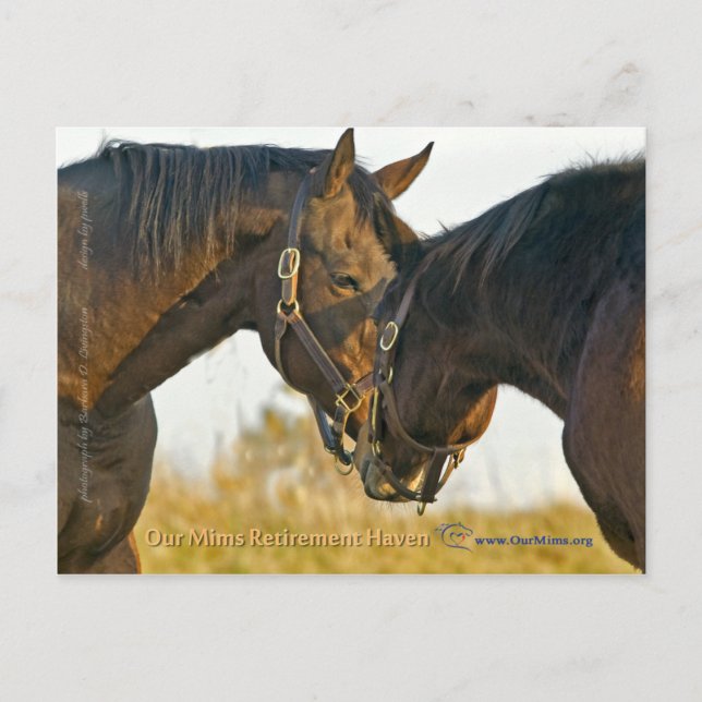 Cartão Postal Apenas um toque (Frente)