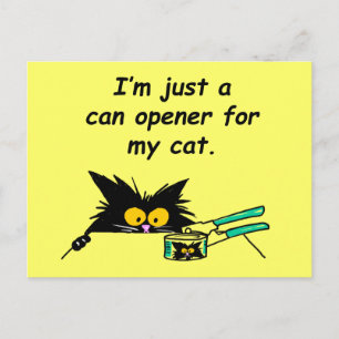 CARTÃO POSTAL APENAS UMA ABERTURA PARA O MEU GATO
