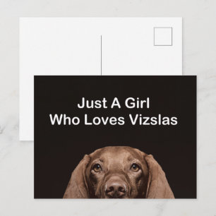 Cartão Postal Apenas Uma Garota Que Ama Vizslas