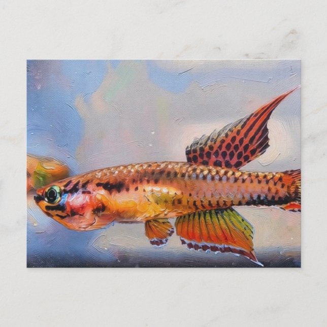 Cartão Postal aphyosemion bitaeniatum ijebu ode Killifish (Frente)