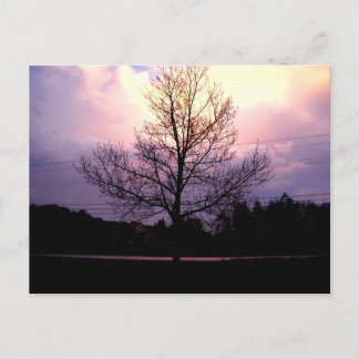 Cartão Postal Após A Chuva