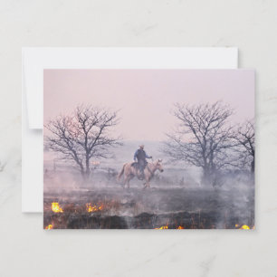 Cartão Postal Após o incêndio na Prairie, Colinas Flint, Kansas