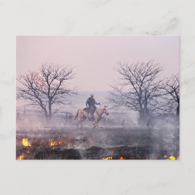 Cartão Postal Após o incêndio na Prairie, Colinas Flint, Kansas (Frente)