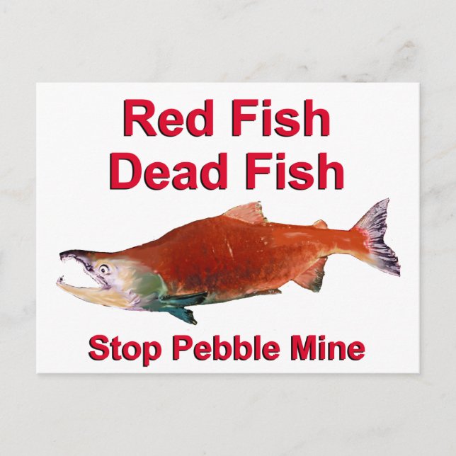 Cartão Postal Após o Salmão - Parar o Pebble Mine (Frente)