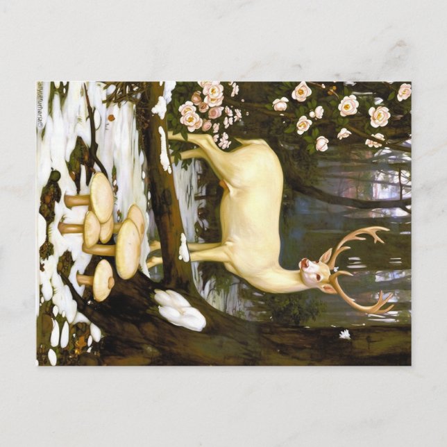 Cartão Postal Appalachian Animals  (Frente)