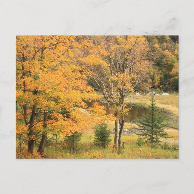 Cartão Postal Appalachian Gap Pond Vermont (Frente)