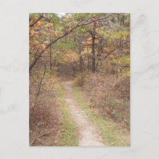 Cartão Postal appalachian trail fall pennania