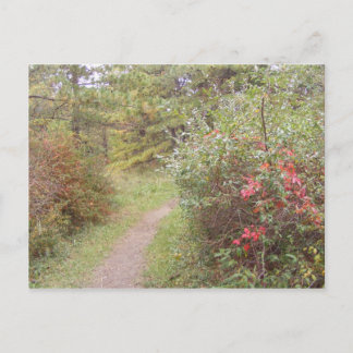 Cartão Postal appalachian trail fall pennania