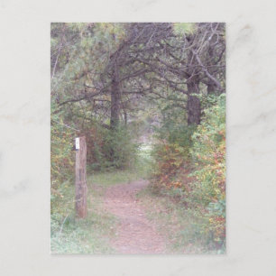 Cartão Postal appalachian trail fall pennsylvania