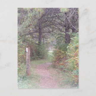 Cartão Postal appalachian trail fall pennsylvania