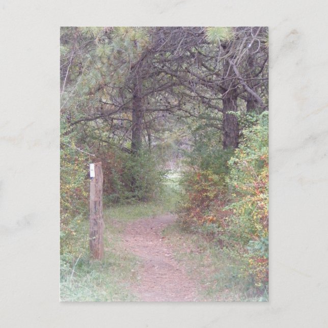Cartão Postal appalachian trail fall pennsylvania (Frente)