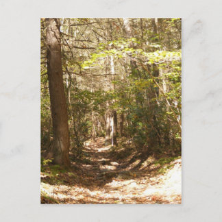 Cartão Postal appalachian trail pennPennsylvania