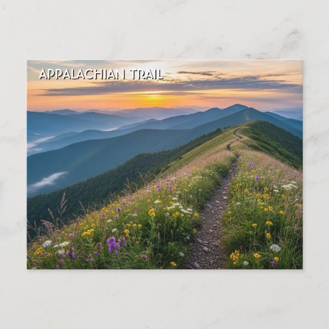 Cartão Postal Appalachian Trail Travel (Frente)