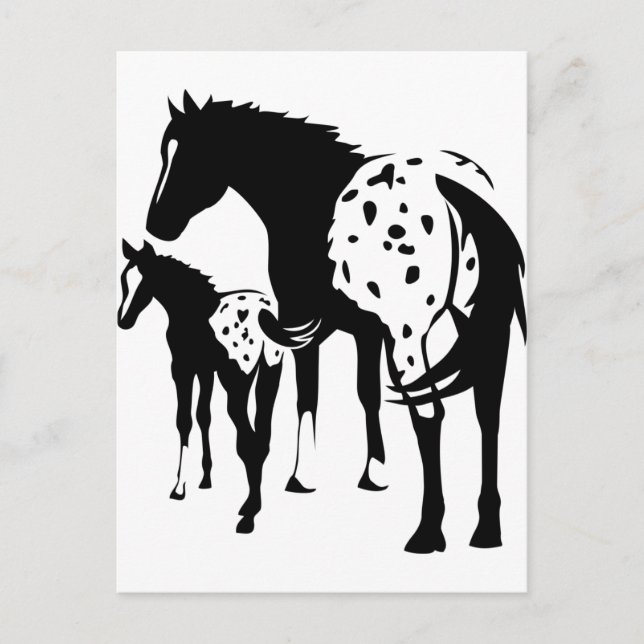 Cartão Postal Appaloosa Mare e Foal (Frente)
