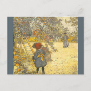 Cartão Postal Apple Harvest de Carl Larsson