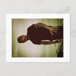 Cartão Postal Approachable Wolf Post Card Print