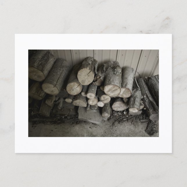 Cartão Postal Approachable Wolf Post Card Print (Frente)