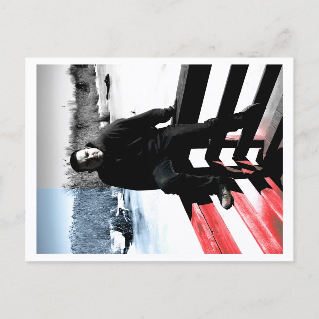 Cartão Postal Approachable Wolf Post Card Print (Frente)