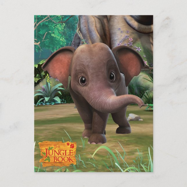 Cartão Postal Appu (Frente)