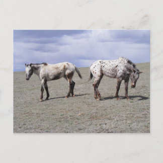 Cartão Postal Appys Felizes