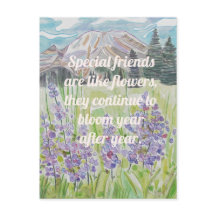 Apreciação de Amizade