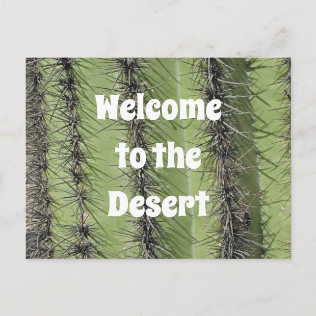 Cartão Postal Apreciação de Foto de Cacto Saguaro no Deserto da  (Frente)