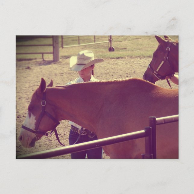 Cartão Postal Apresentação de Cavalos (Frente)